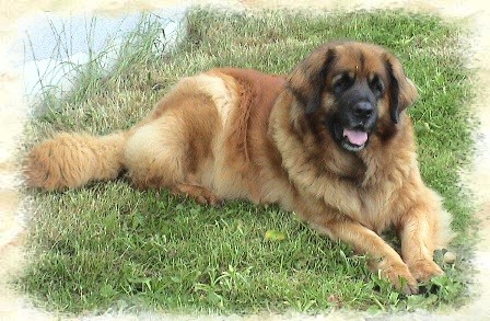 Audrey Zařické údolí 1.jpg