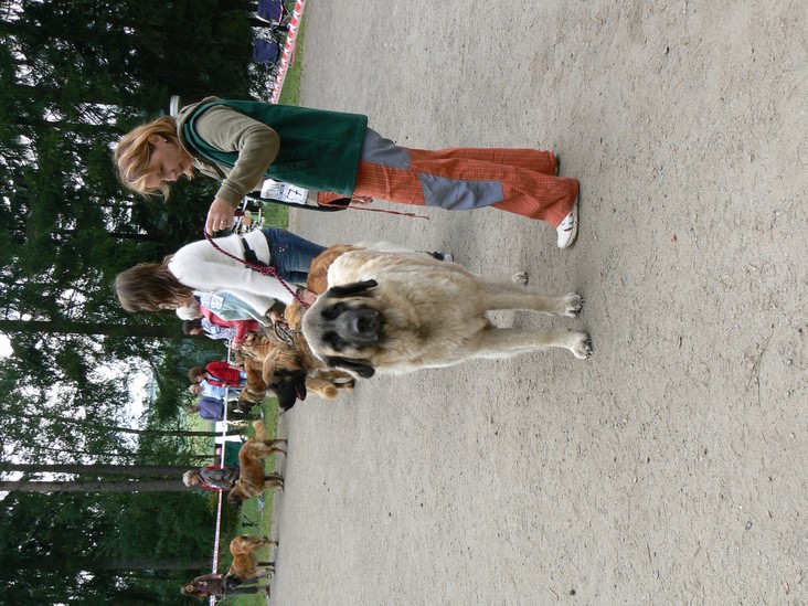 P1030549.JPG