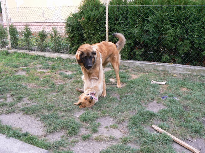 P1030730.JPG