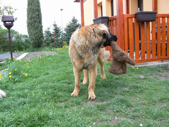 P1040922.JPG
